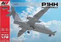 P.1HH HammerHead UAV