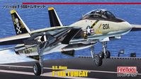 US Navy F-14A Fighter Aircraft (Tomcat) - Image 1