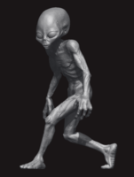 Grey Alien 01